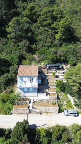 SobraにあるGreen House apartments-studioの森の中の家屋