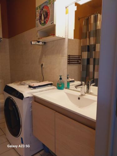 y baño con lavadora y lavamanos. en Wonderful stay Monet en Gante
