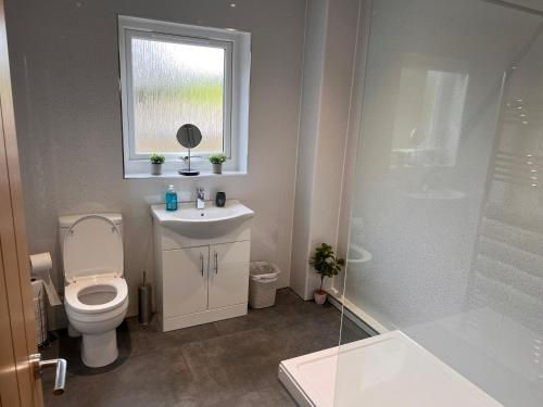 a bathroom with a toilet and a sink and a window at Woodlane lodge with private Hottub & Pool table in Dumfries
