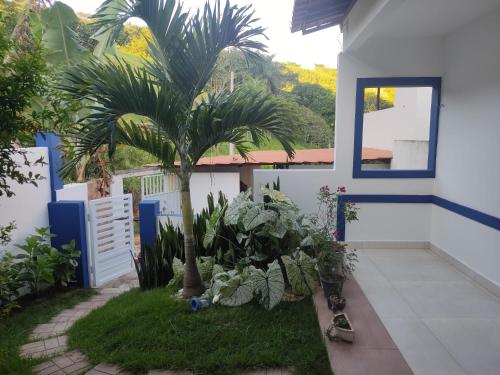 a courtyard with a palm tree in a house at Casa Bananeiras Tunel in Bananeiras