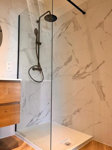 eine Dusche mit Glastür im Badezimmer in der Unterkunft Ostendeau - stijlvol appartement in hartje Oostende in Ostende
