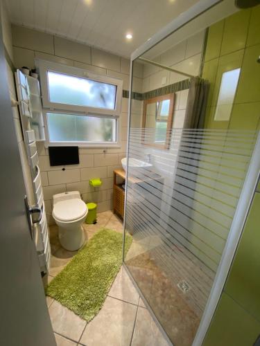 une salle de bain avec douche et toilettes et une fenêtre dans l'établissement La maison des vacances chez Geneviève & Norbert 6 à 8 personnes, à Les Sables-dʼOlonne