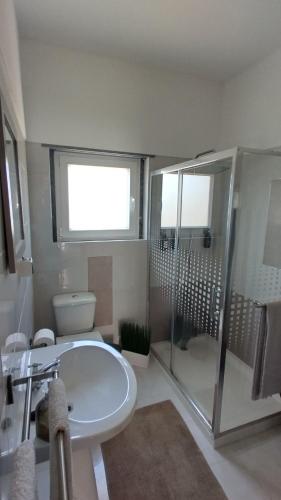 a bathroom with a toilet and a sink and a shower at Casa da Caroleira in Paços
