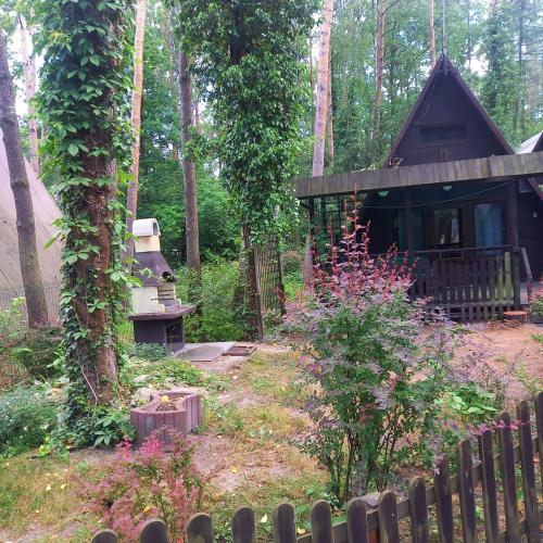 uma cabana de madeira na floresta com uma cerca em Domek pod świerkami 2 em Skorzęcin