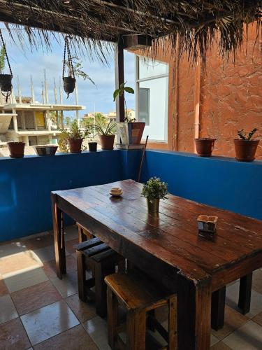 a wooden table and bench in a room with potted plants at Casa Blu Guesthouse - Casa de Hospedes in Santa Maria