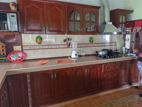 a kitchen with wooden cabinets and a stove top oven at Villa Kyra in Calima