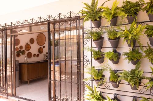 a bunch of potted plants on a wall at Doral House Villavicencio in Villavicencio