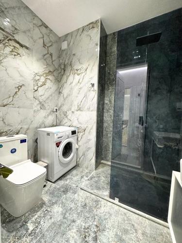 ein Badezimmer mit Waschmaschine und Dusche in der Unterkunft Graz Andrew Relax 2 in Wintger