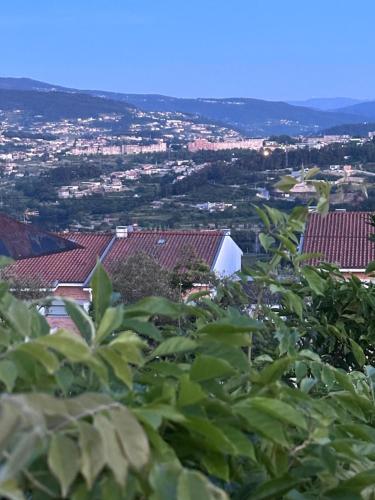 Landskap semula jadi dekat dengan vila ini