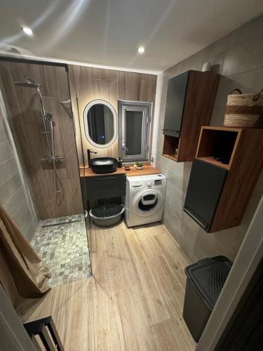 La petite salle de bains est pourvue d'une douche et d'un lave-linge. dans l'établissement Havre de paix à Narbonne, à Narbonne