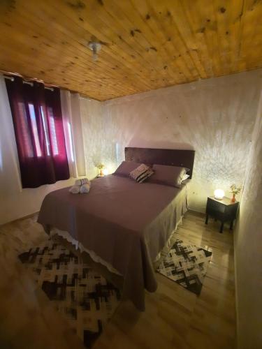 een slaapkamer met een groot bed en een houten plafond bij Sítio jaguary in Camanducaia