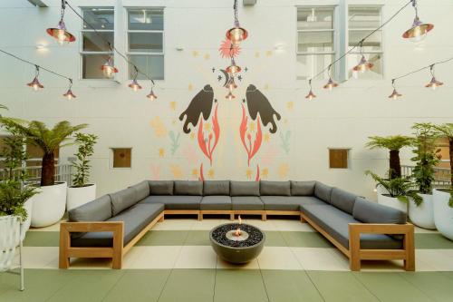 uma sala de estar com um sofá e uma parede com plantas em Drifter Christchurch em Christchurch