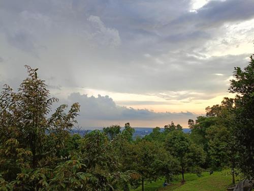 un gruppo di alberi in un campo sotto un cielo nuvoloso di BUKIT LIMAU REST HOUSE a Taiping