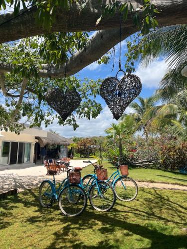 El Paraiso Hotel Tulumにある庭