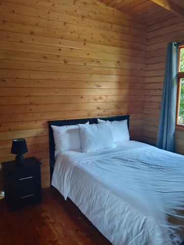 a bedroom with a bed in a log cabin at Cabañas Barú Dota in Santa María