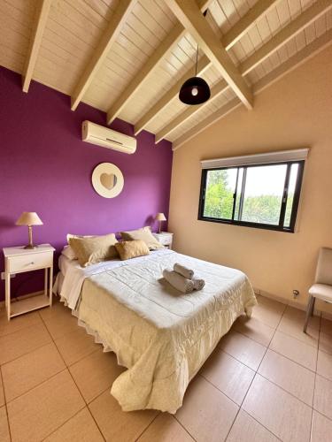 a bedroom with a large bed and a purple wall at Villa Bonita Cabañas Villa de Merlo in Merlo