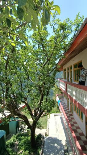 a tree on the side of a building at Sojhaholidayinn in Shoja