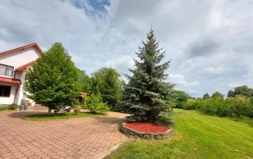 Billede fra billedgalleriet på Paradisul Verde al Nathaliei i Cornu de Jos