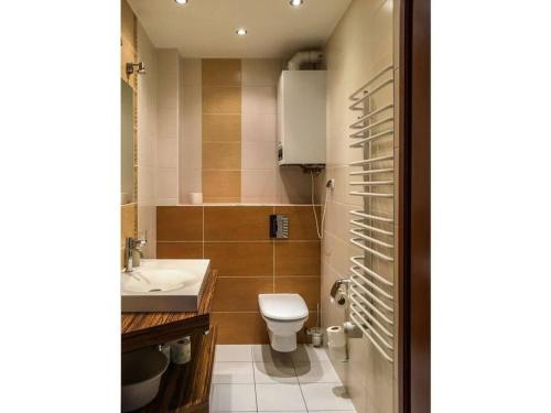 un bagno con un water e un lavandino di Karpacz Comfortable holiday residence a Karpacz