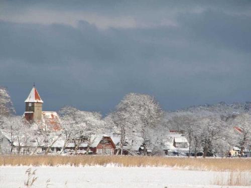 a snow covered field with a church and trees at Gödeke Comfortable holiday residence in Middelhagen