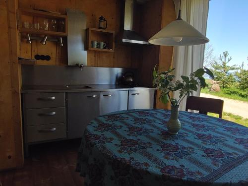 a kitchen with a table with a vase on it at Nina põhumajad in Nina