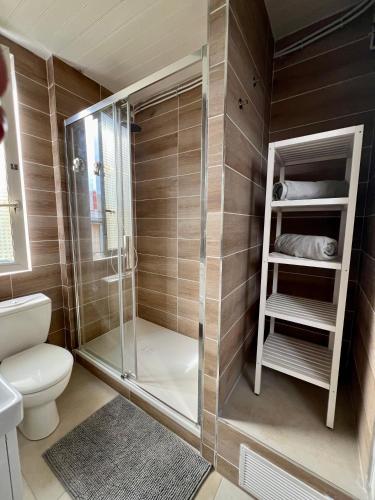 une salle de bain avec douche et toilettes dans l'établissement Parisian penthouse with large terrasse, à Pierrefitte-sur-Seine