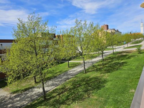 a row of trees on a sidewalk in a park at City Apartment with Lakeview in Iisalmi in Iisalmi