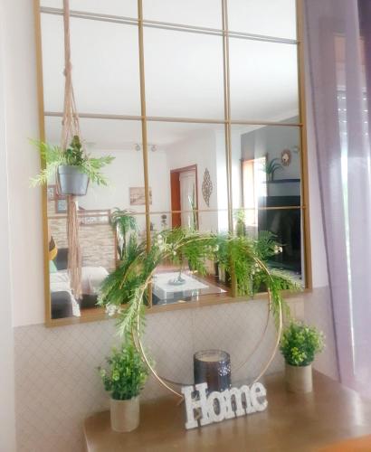 a bathroom with a mirror and plants on a counter at Grace House in Belinho