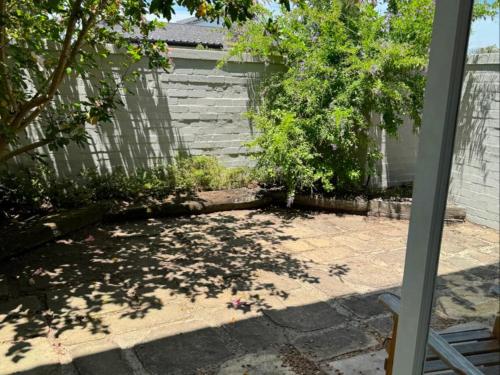 a view of a patio with trees and a fence at Moments Guesthouse, Kleinmond in Kleinmond