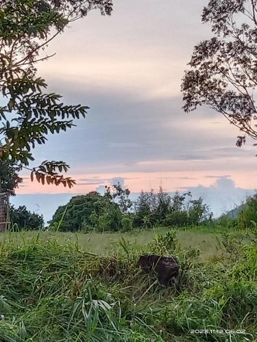 a field of grass with the sky in the background at Sudumal Cottage in Ella