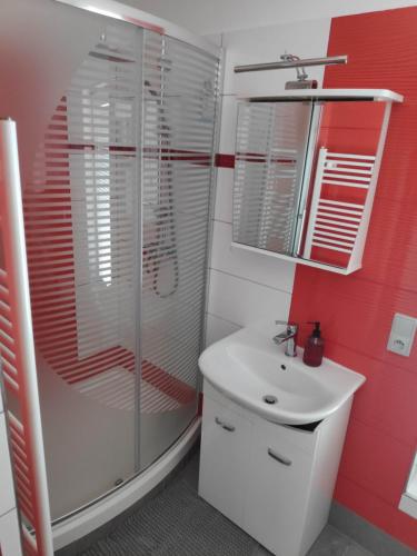 a bathroom with a shower and a white sink at MASNA APARTMENT LIBEREC in Liberec