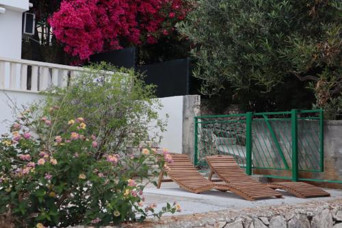 Zahrada ubytování Beachfront apartments Dida - Seget Vranjica