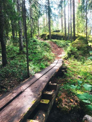 a wooden path in a forest with a wooden bridge at Villa Kolovesi - Saimaa Retreat in Savonlinna