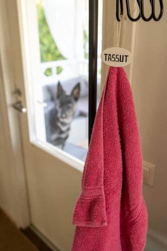 a pink towel hanging on a door with a cat outside at Aidattu omakotitalo - Palju lisämaksusta in Kalajoki