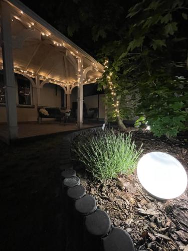 a night view of a house with a tree and lights at Apartamenty - Dom Hrabiny in Sieradz