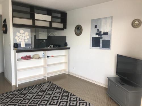 - un salon avec une télévision à écran plat à côté d'un mur dans l'établissement Marina Port Lairan à port Camargue, au Grau-du-Roi