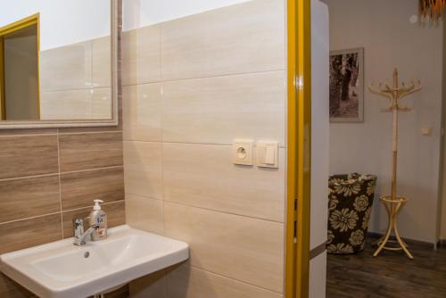 W łazience znajduje się umywalka i lustro. w obiekcie Penzion Imrvere Žamberk w mieście Žamberk