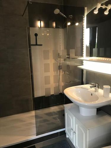 une salle de bain avec un lavabo blanc et une douche dans l'établissement Très agréable appartement, à Castelnaud-de-Gratecambe