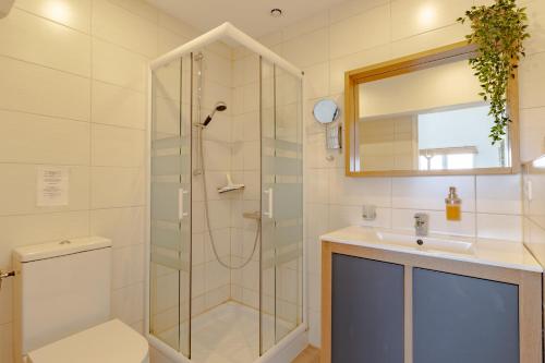 ein Bad mit einer Dusche, einem WC und einem Waschbecken in der Unterkunft Gîte Bellevue in Paulin