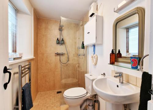 La salle de bains est pourvue de toilettes, d'un lavabo et d'une douche. dans l'établissement Keep Cottage - East Devon, à Southleigh