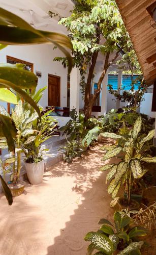 a room filled with lots of plants at Tropicana Home Stay in Arugam Bay
