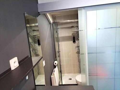 une salle de bain avec douche, toilettes et miroir dans l'établissement Studette Chabaud Rue, à Reims