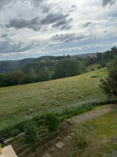 a large field of grass with a fence and trees at HOME SÉRÉNITÉ in Hazelbourg