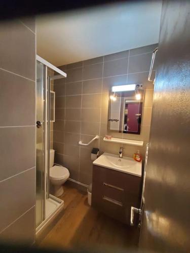 une salle de bain avec un lavabo, des toilettes et un miroir dans l'établissement Joli studio 4-6 pers - balcon avec vue sur montagne, à Saint-Étienne-en-Dévoluy