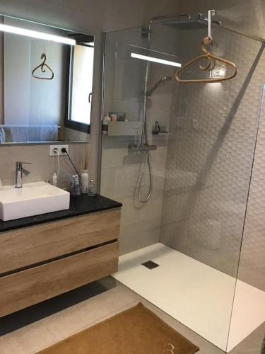 une salle de bain avec douche et lavabo dans l'établissement Maison familiale en Bois - Piscine - Avignon, aux Angles (Gard)