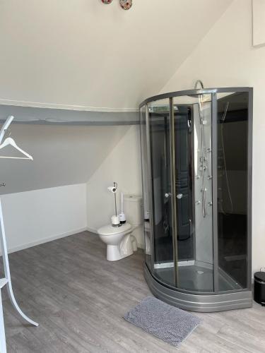 a bathroom with a glass shower and a toilet at Chambre d'Hotes La Chaiserie in Romeries