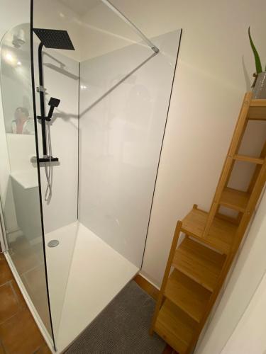 a glass shower in a room with a ladder at Chambre d'Hotes La Chaiserie in Romeries