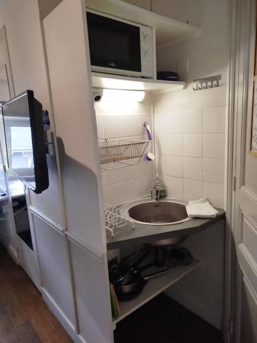 La petite salle de bains est pourvue d'un lavabo et d'un four micro-ondes. dans l'établissement Studette Cathédrale, à Reims