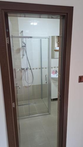 a shower with a glass door in a bathroom at Pensiunea Inima Daciei in Costeşti