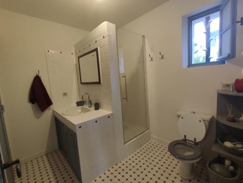 uma casa de banho com um WC, um lavatório e um chuveiro em Les Reflets du Lac em Esparron-de-Verdon